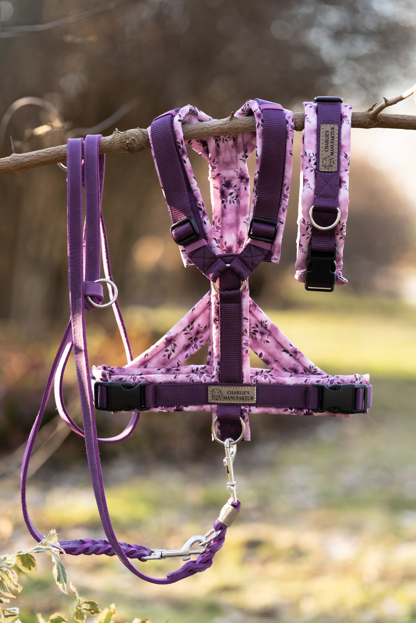 Y-Geschirr Violet Bloom