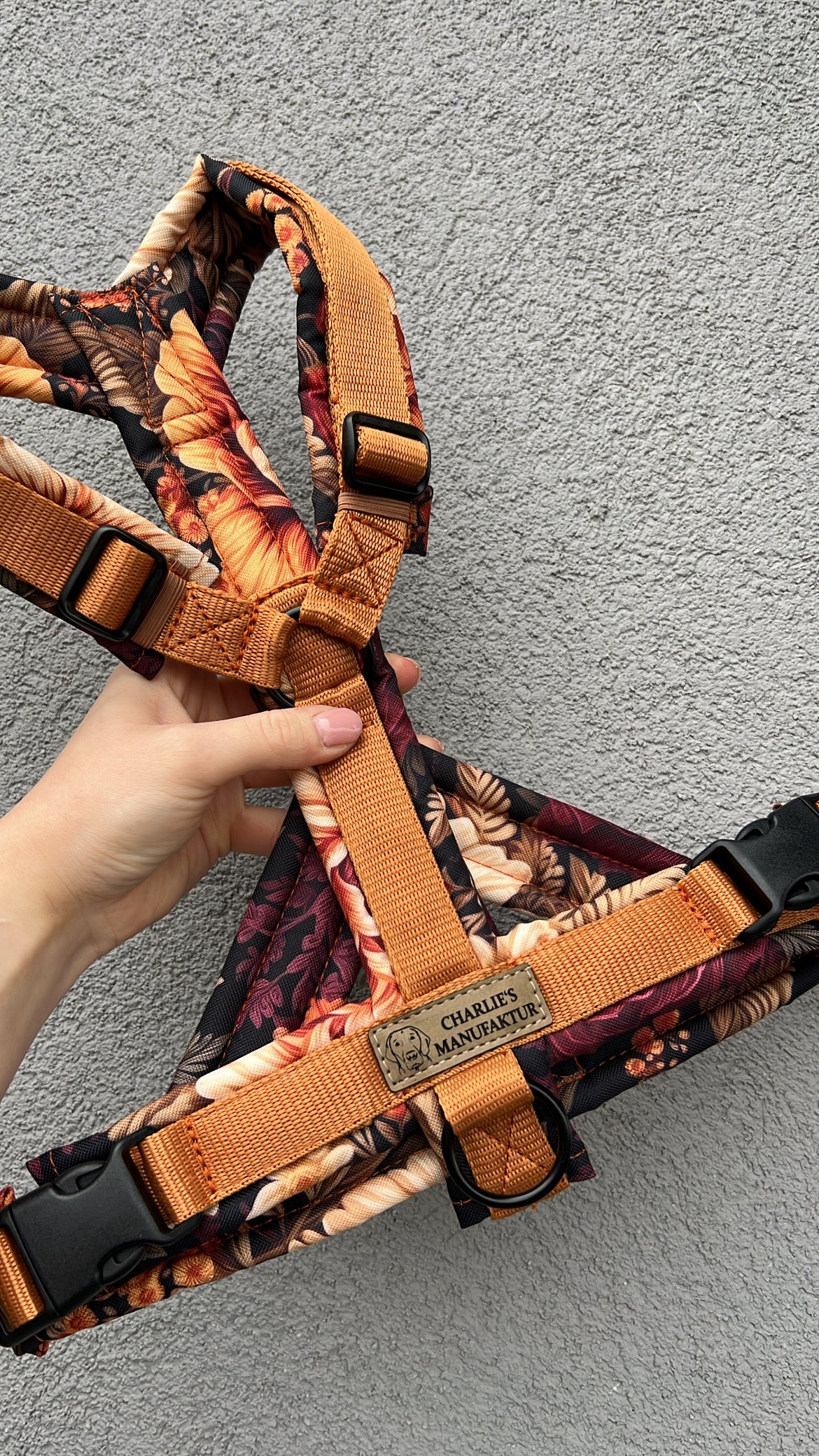 Y-Geschirr Midnight Bloom