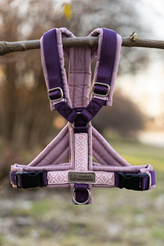 BOHO Geschirr Rose/Aubergine