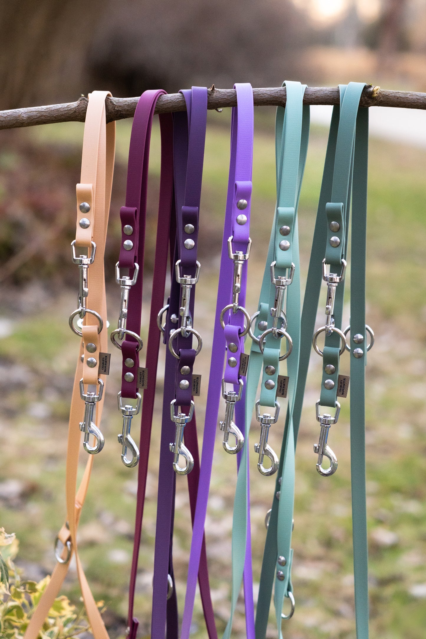 Leine Sage Garden Salbei