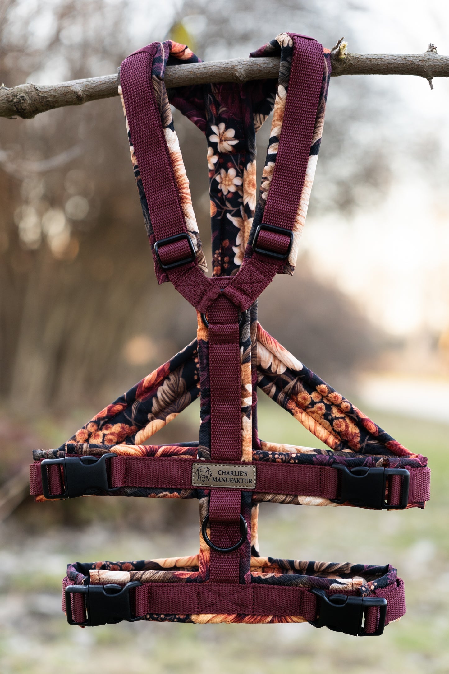 Sicherheitsgeschirre