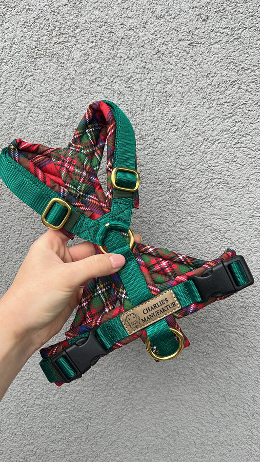 Y-Geschirr Christmas Time