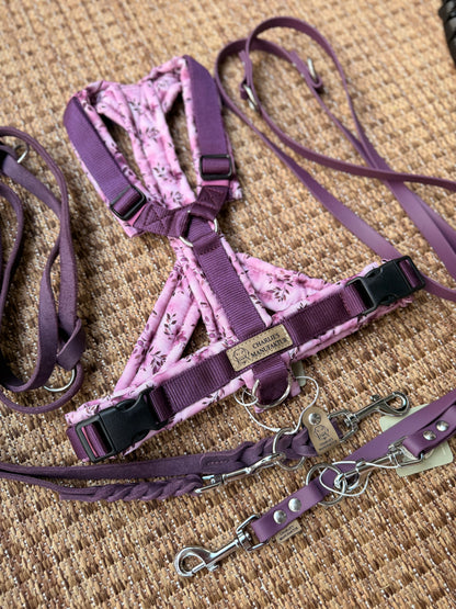 Y-Geschirr Violet Bloom