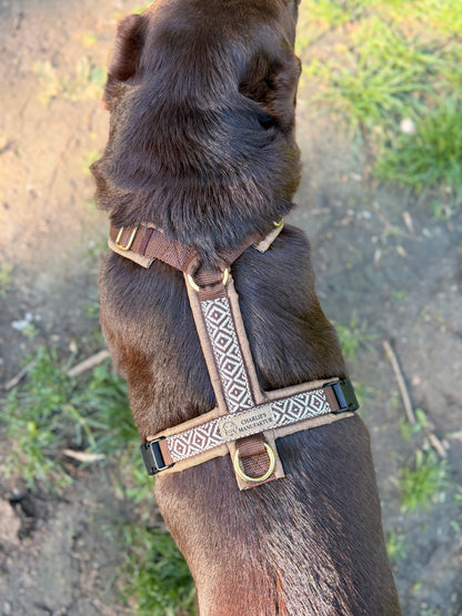 BOHO Geschirr Brown