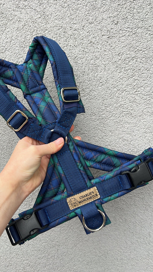 Y-Geschirr Karo Blau-Grün