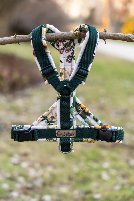 Shop the Look | Geschirr Botanical Garden & Dunkelgrün