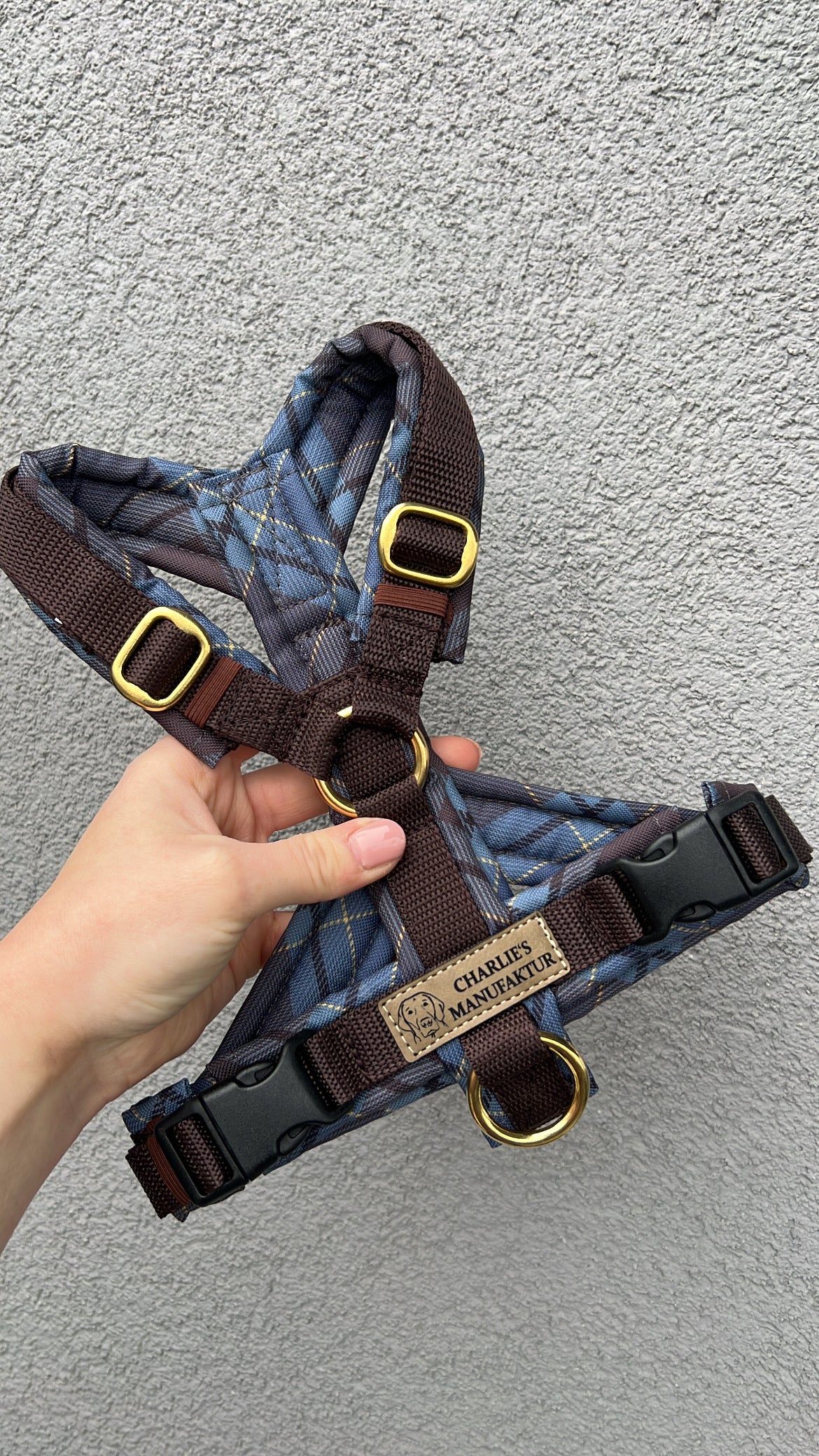 Y-Geschirr Winter Time