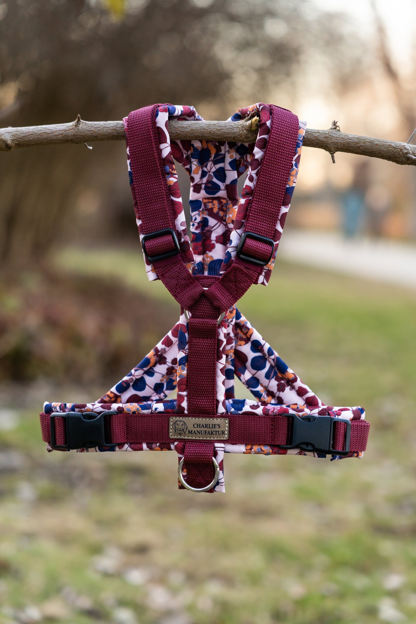 Y-Geschirr Japanese Garden