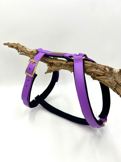 -25% AKTION Biothanegeschirre