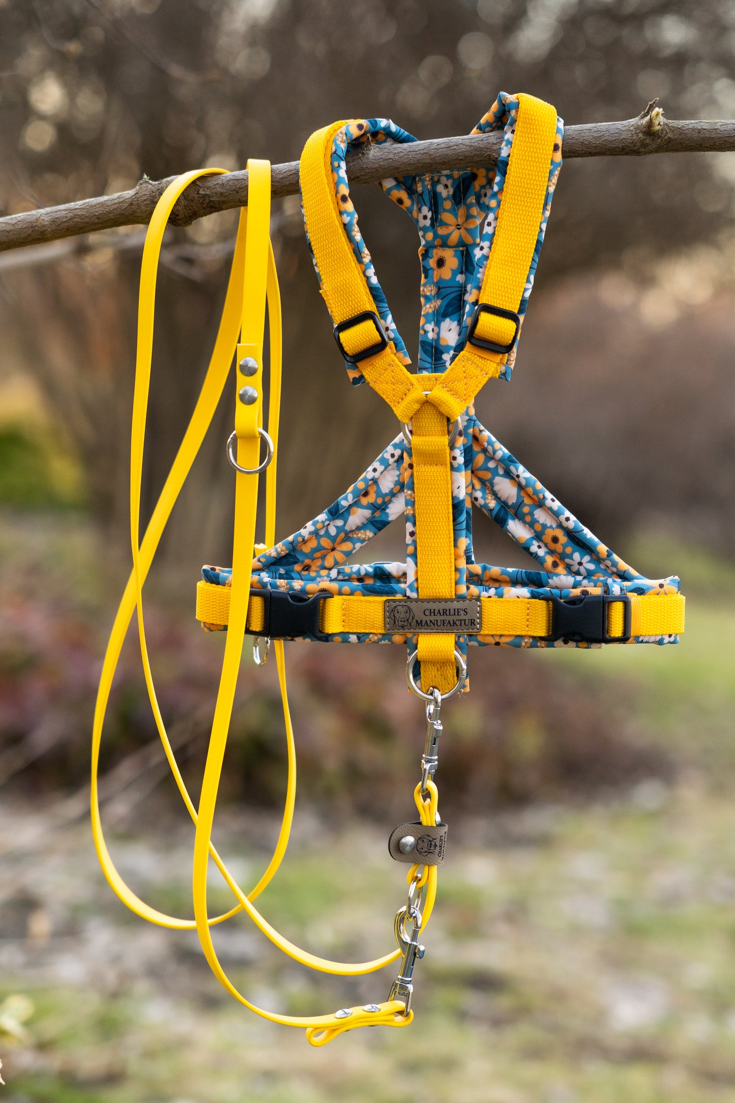 Y-Geschirr Sunflowers