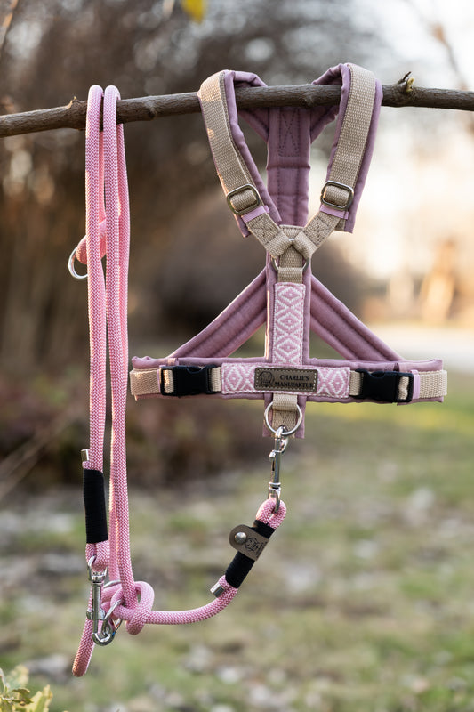 Y-Geschirr BOHO Rose