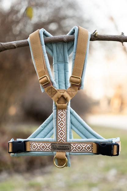 Y-Geschirr BOHO Mint