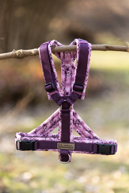 Y-Geschirr Violet Bloom
