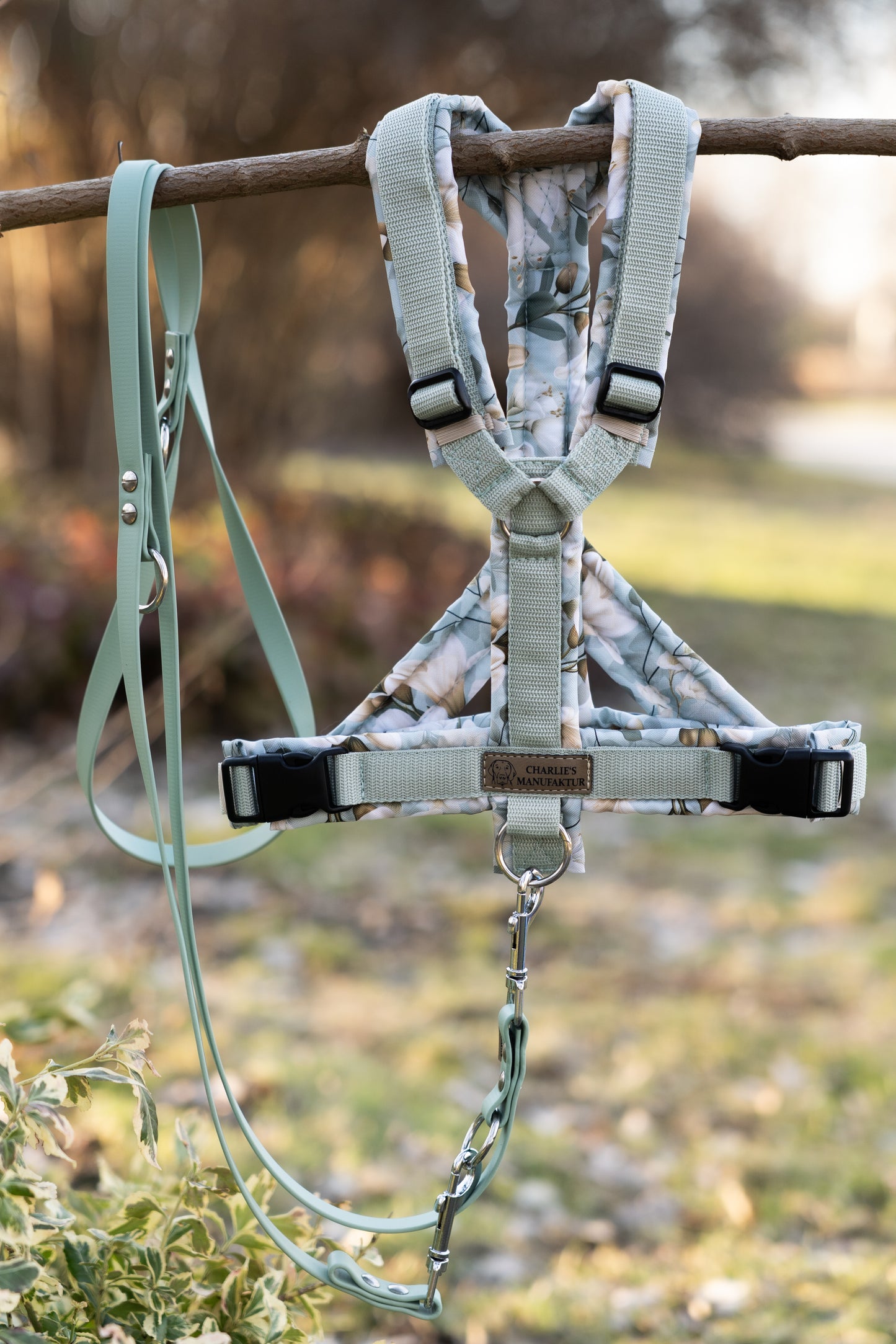 Y-Geschirr Sage Garden Salbei