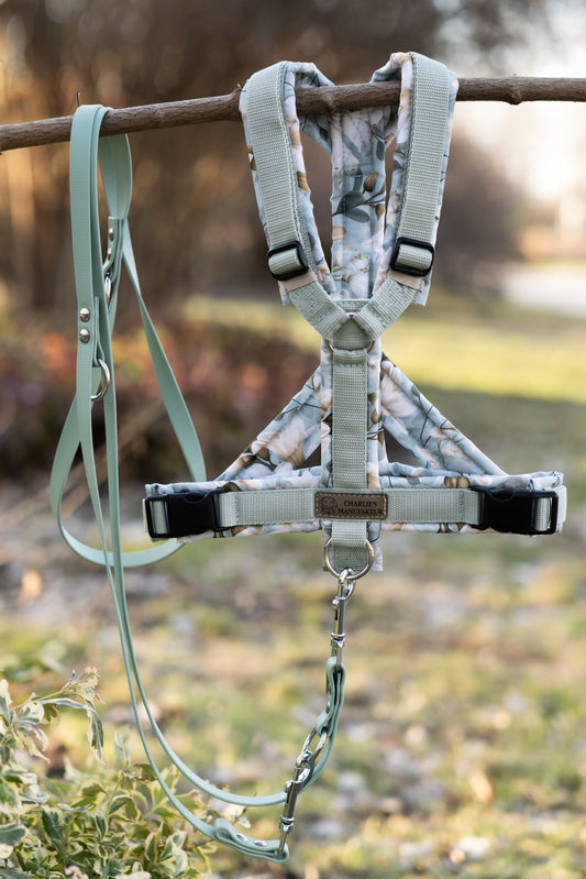 Geschirr Sage Garden Salbei