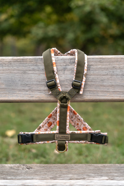 Y-Geschirr Cozy Fall