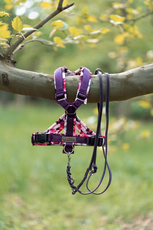 Y-Geschirr Pinke Lilien