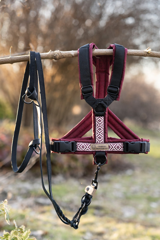 Y-Geschirr BOHO Bordeaux