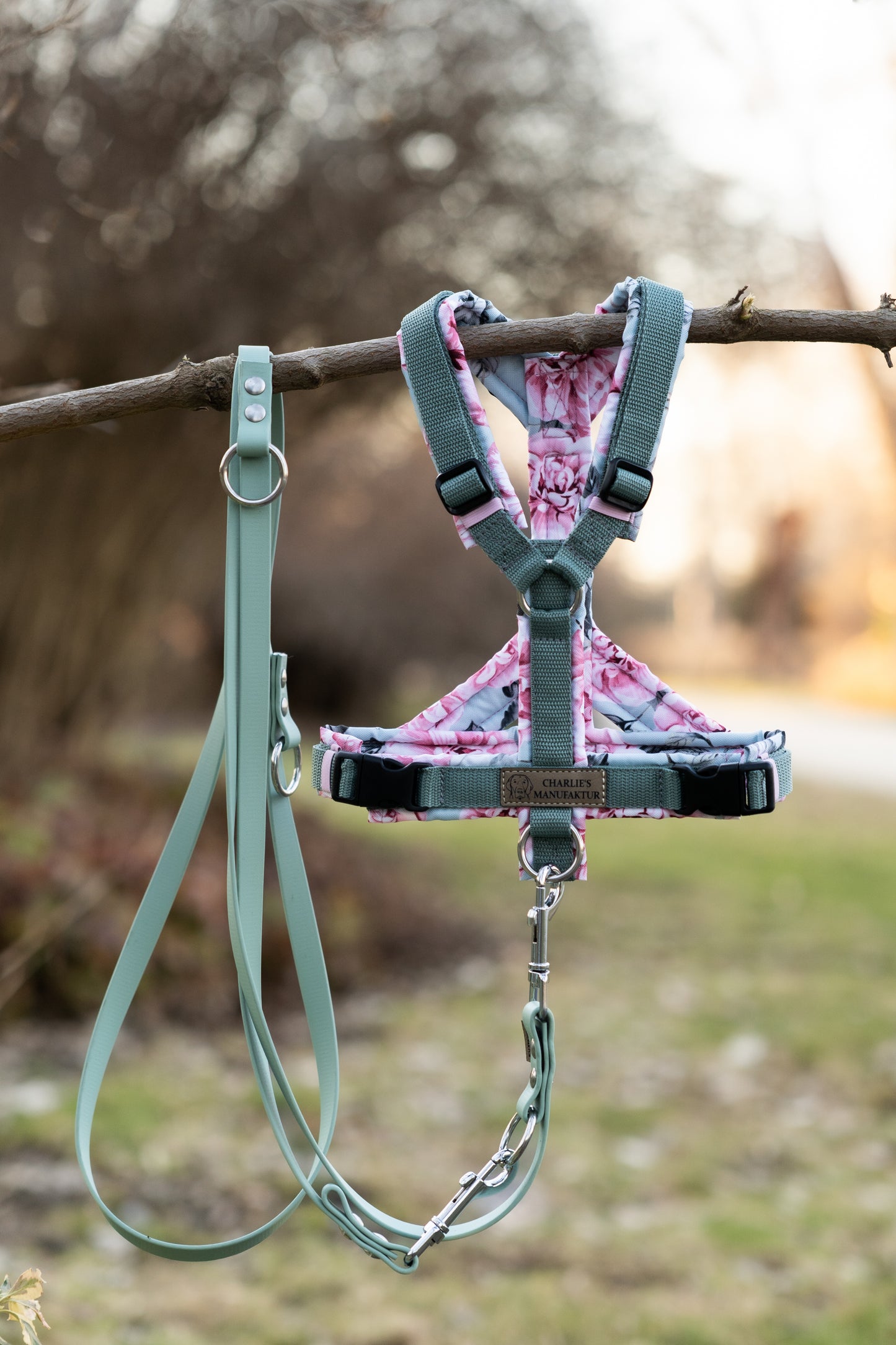 Y-Geschirr Rosengarten/Salbei