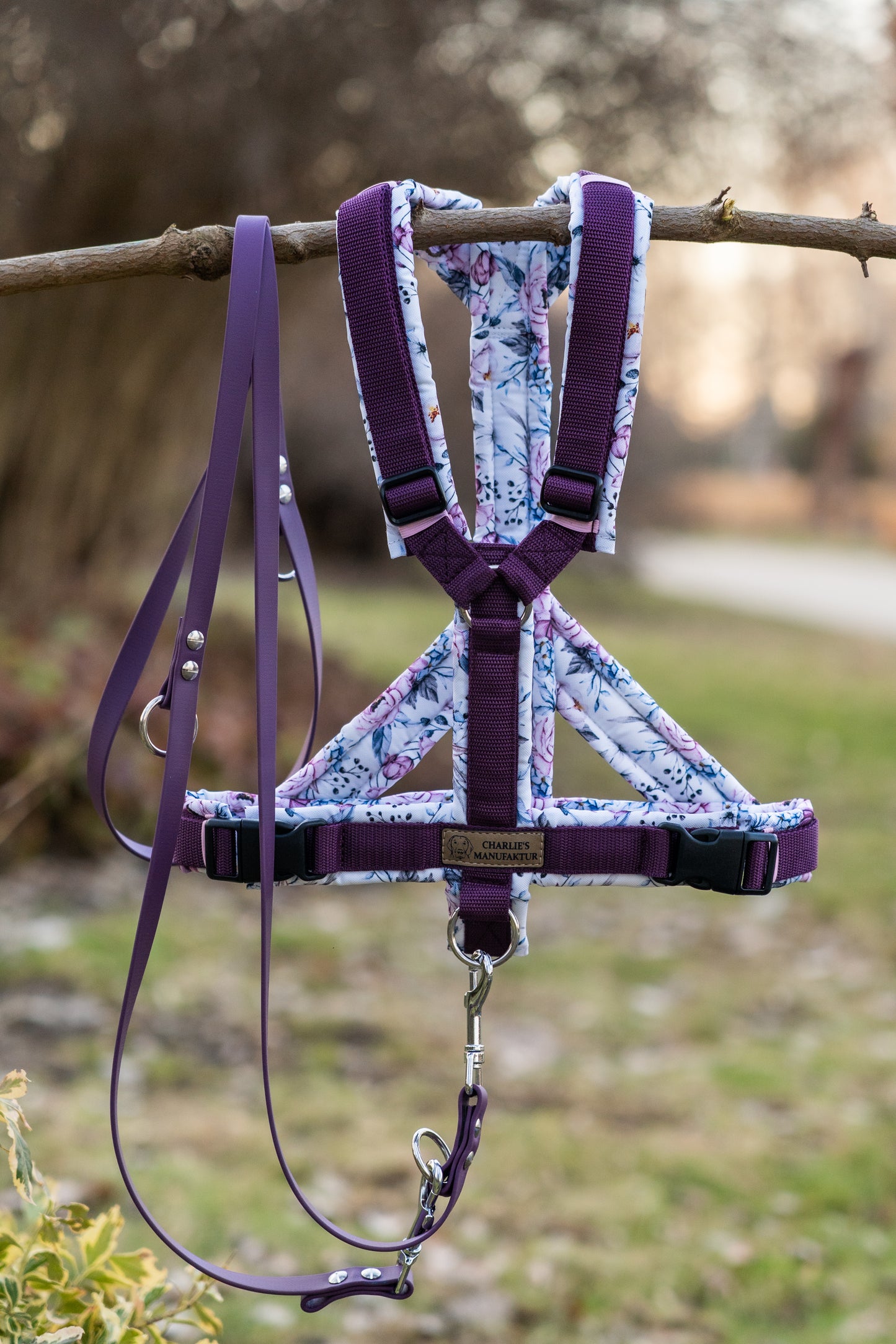 Y-Geschirr Pfingstrosen