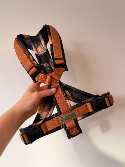 Einzelstücke Größe M