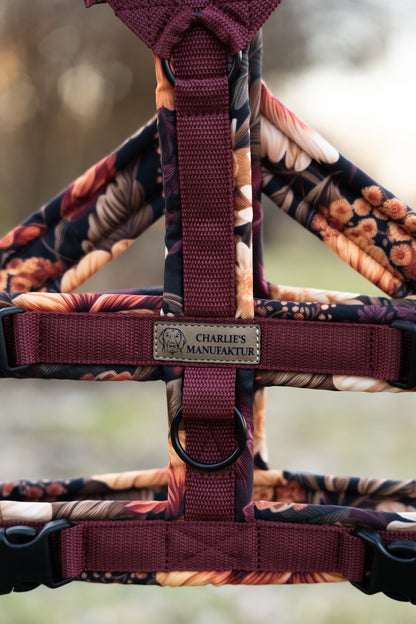 Sicherheitsgeschirre