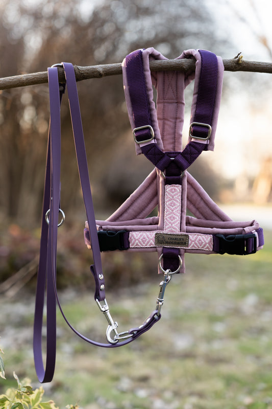 BOHO Geschirr Rose/Aubergine