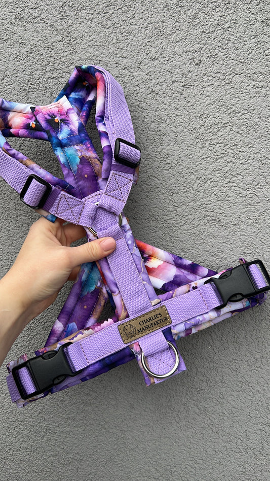 Y-Geschirr Aquarell Flieder