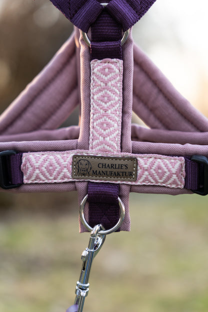 BOHO Geschirr Rose/Aubergine