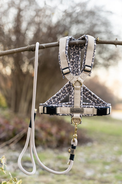 Y-Geschirr Leopard