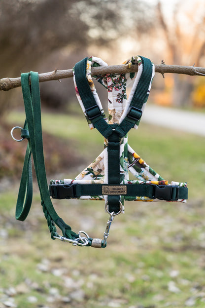 Y-Geschirr Botanical Garden