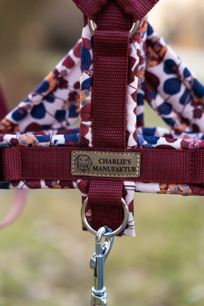 Y-Geschirr Japanese Garden