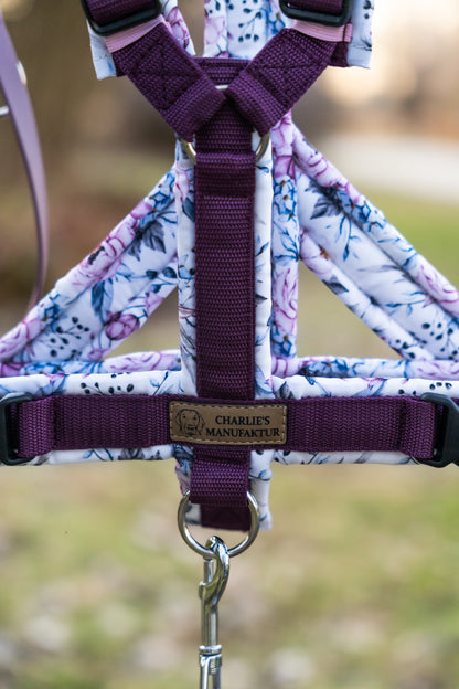 Y-Geschirr Pfingstrosen