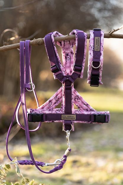 Y-Geschirr Violet Bloom