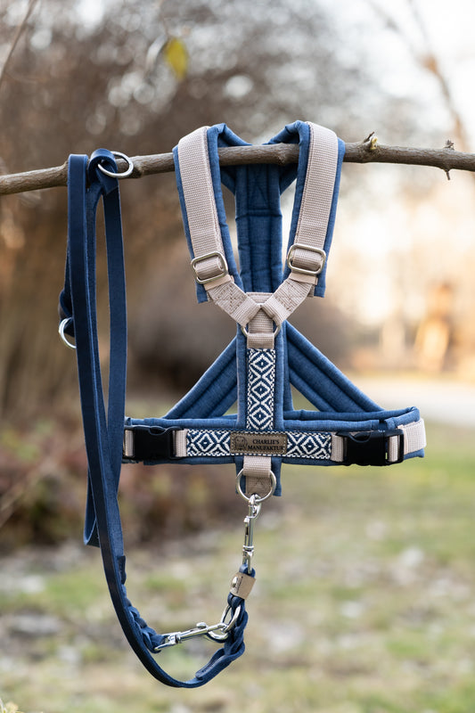 Y-Geschirr BOHO Blau/Beige