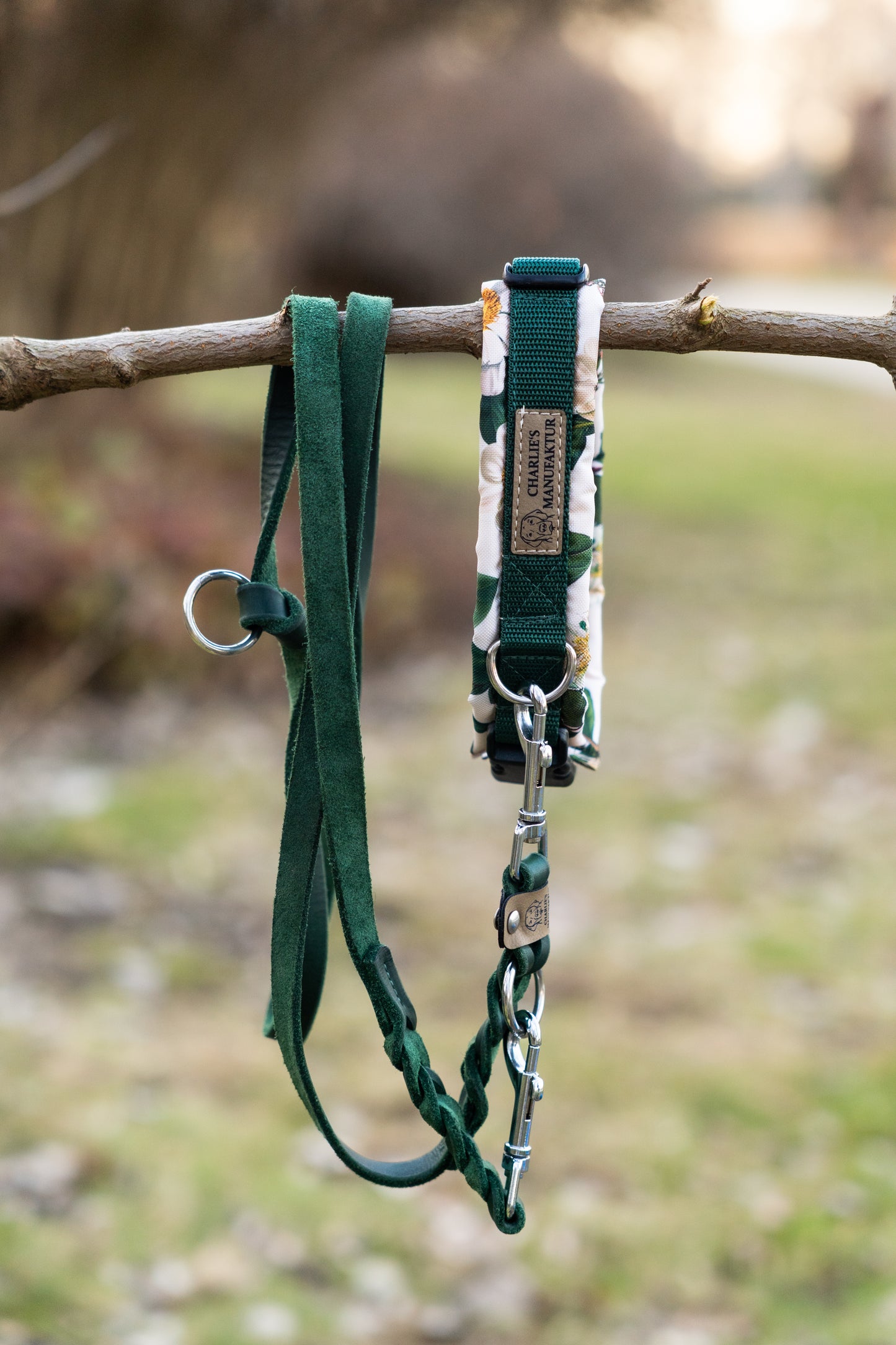 Y-Geschirr Botanical Garden