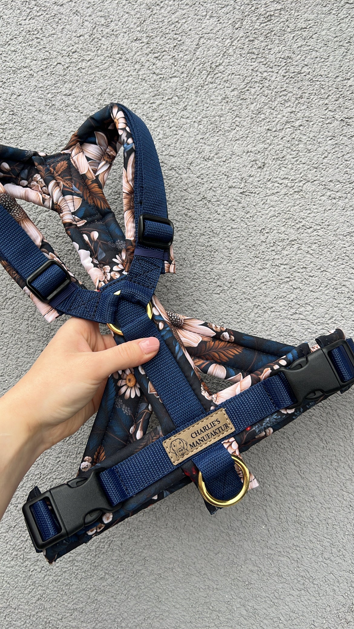 Y-Geschirr Winter Night