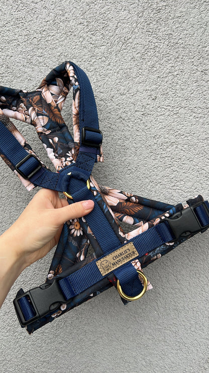 Y-Geschirr Winter Night