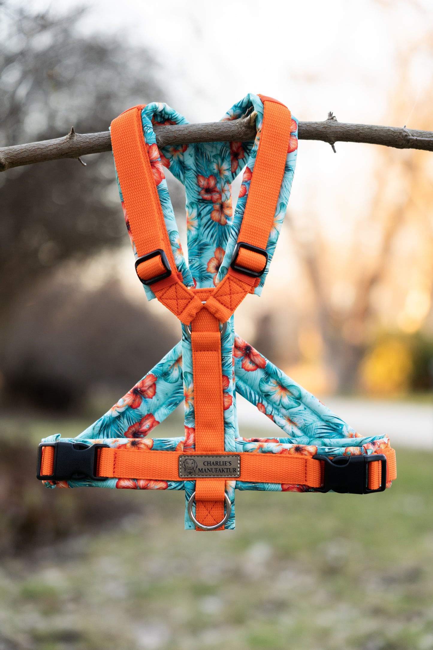 Y-Geschirr Summer Vibes