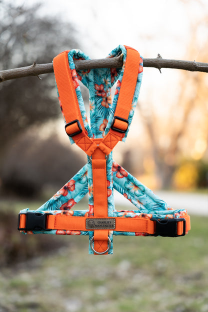 Y-Geschirr Summer Vibes