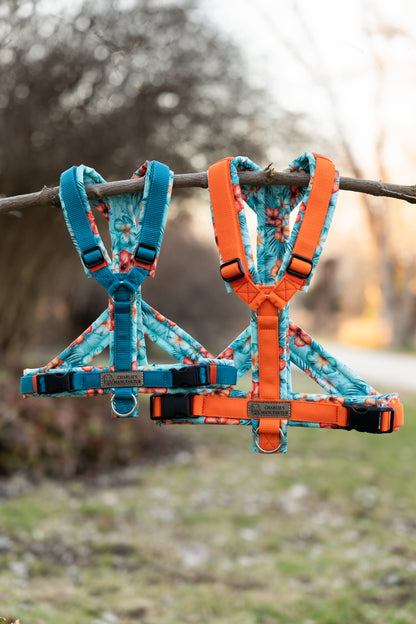 Y-Geschirr Summer Vibes