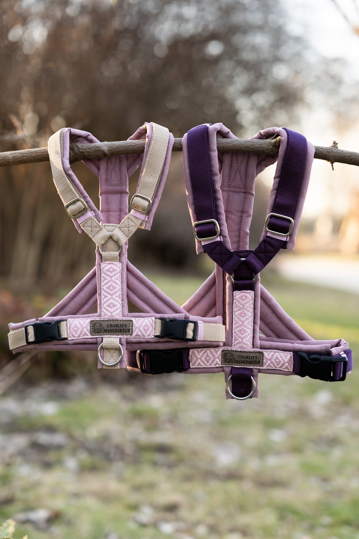 BOHO Geschirr Rose/Aubergine