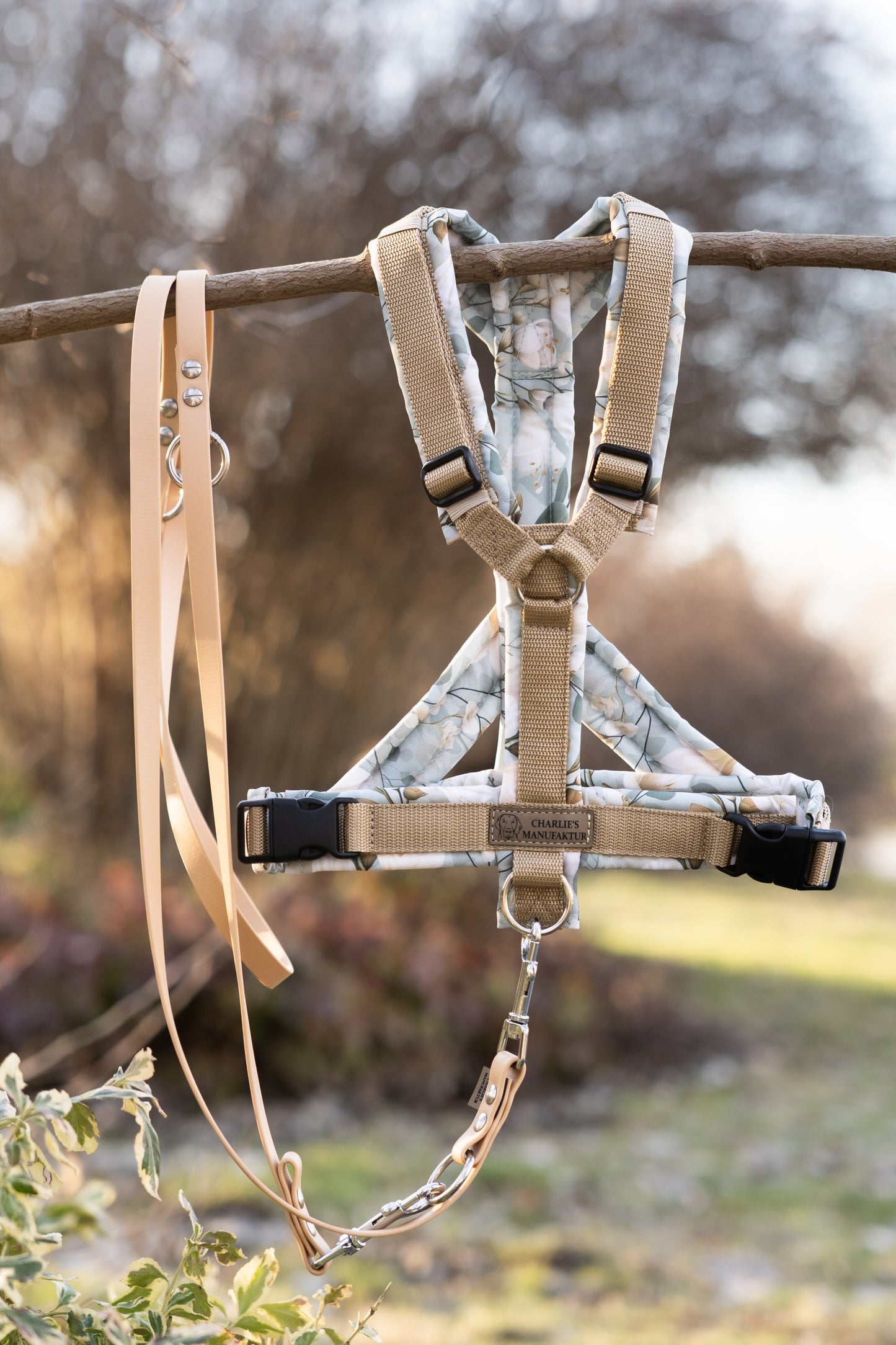 Y-Geschirr Sage Garden Sandgold