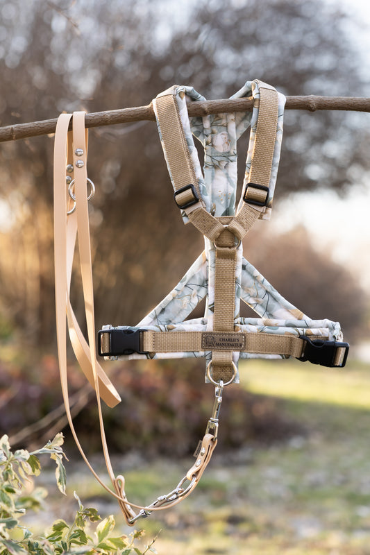 Y-Geschirr Sage Garden Sandgold