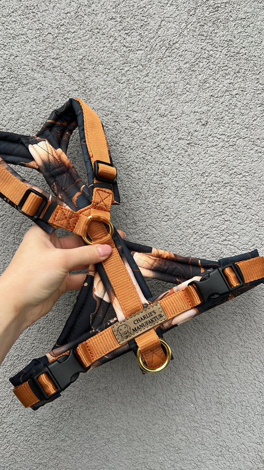 Y-Geschirr Marble Night