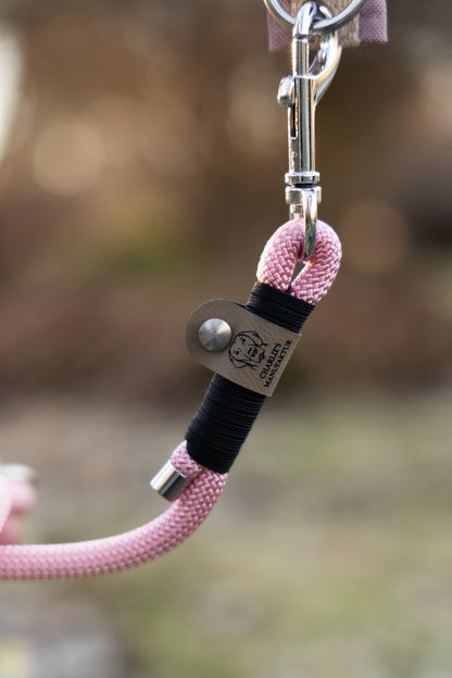 Hundeleine aus Kletterseil