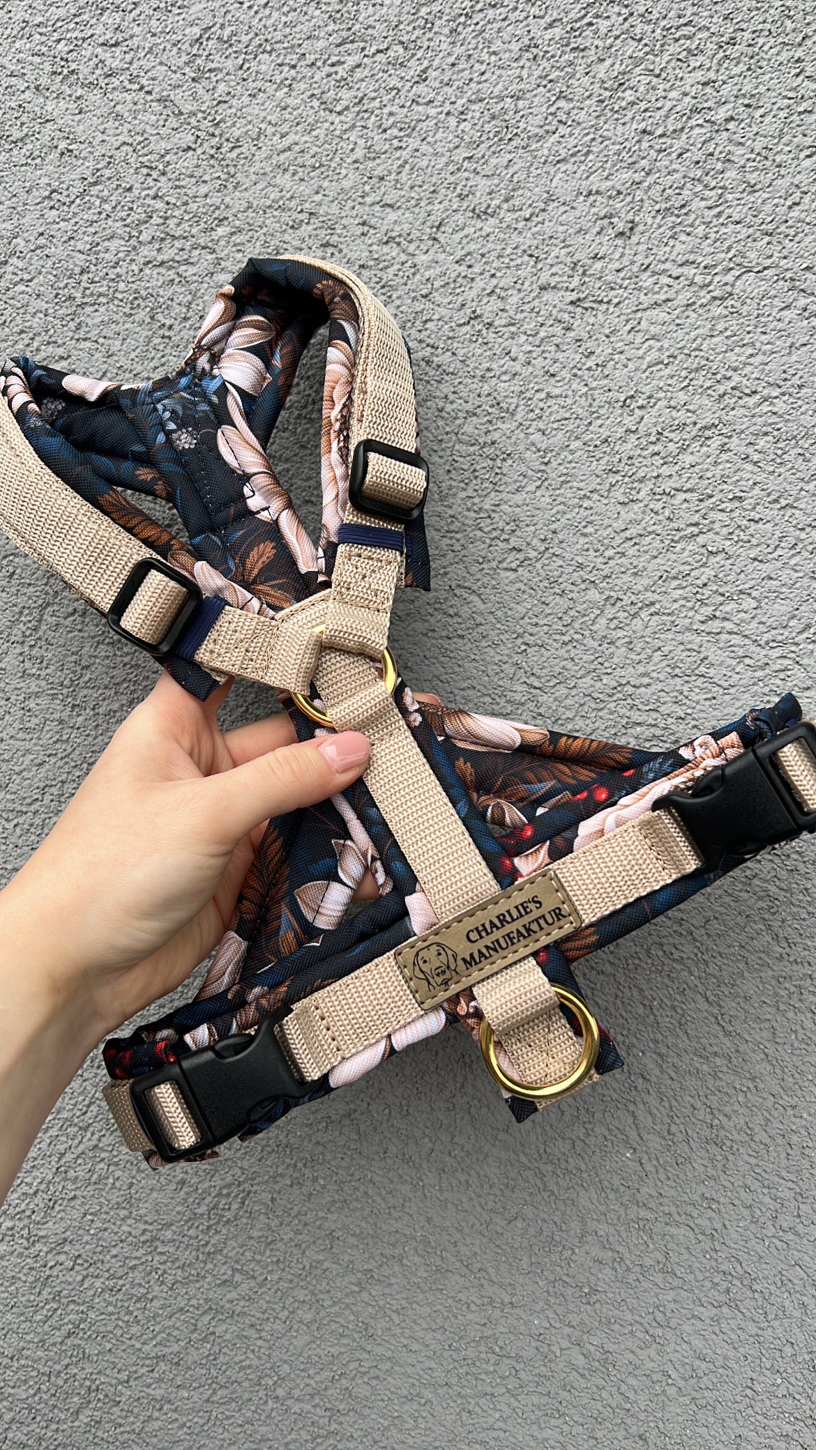 Y-Geschirr Winter Night