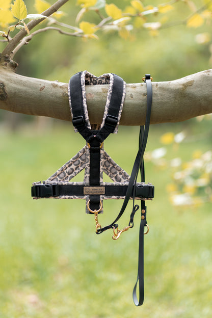 Shop the Look | Geschirr Leopard & Schwarz