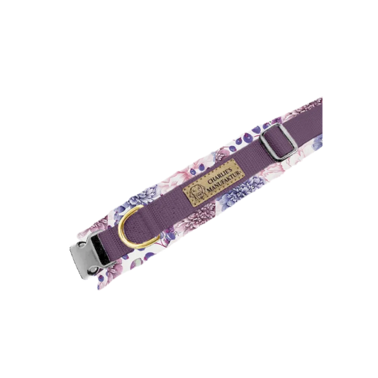 Konfigurator - Gurtbandhalsband