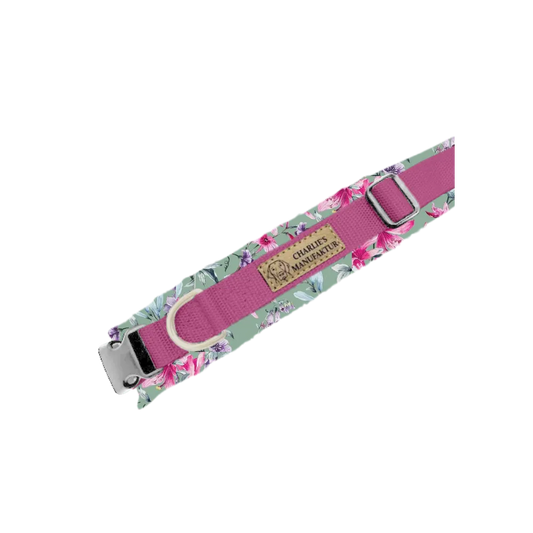 Konfigurator - Gurtbandhalsband